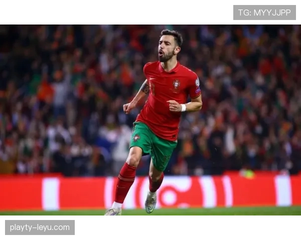 葡萄牙国家队逆转晋级欧洲杯预选赛，强势表现引瞩目