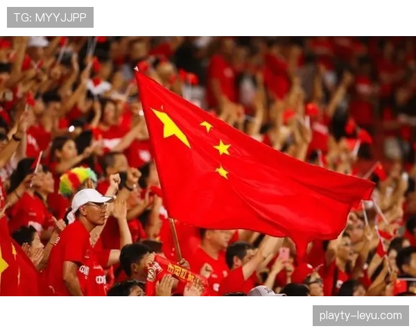 激战四十八小时：足球赛场精彩瞬间引爆球迷热情