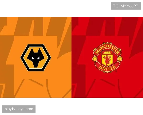 英超狼队转会窗